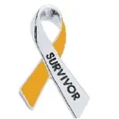 3. Survivor Awareness Ribbon Pin 3. Survivor Awareness Ribbon Pin