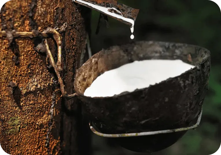 Natural latex material Natural latex material