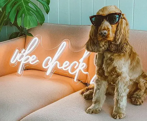 neon schild personalisiert