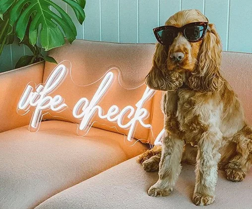 neon schild personalisiert