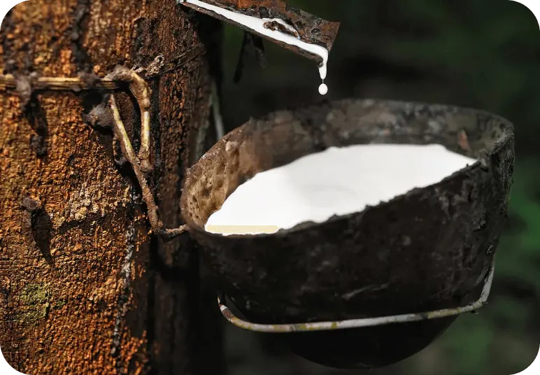 Natural latex for balloons Natural latex for balloons