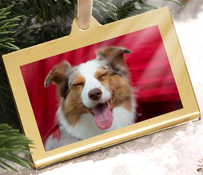 pet photo ornaments