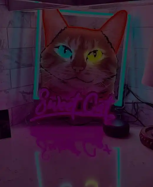 LED Neon Lights for Cats