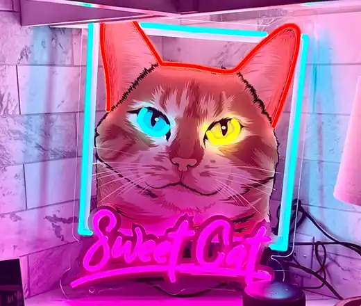 LED Neon Lights for Cats