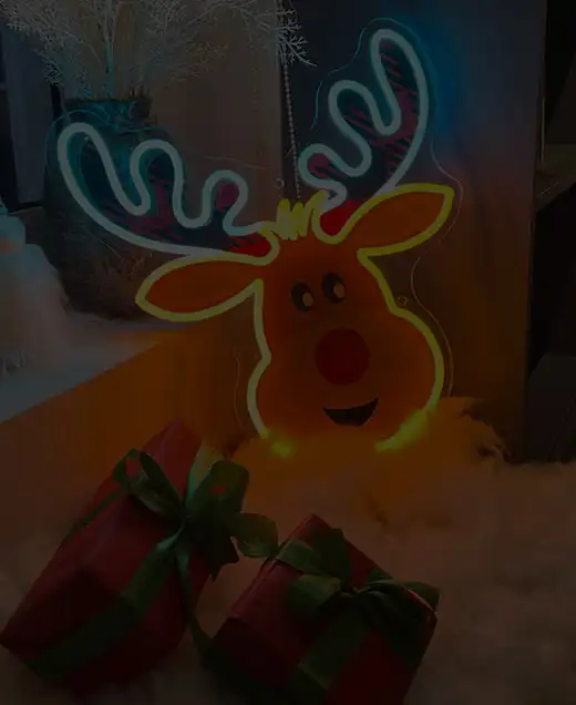 neon lights for Christmas