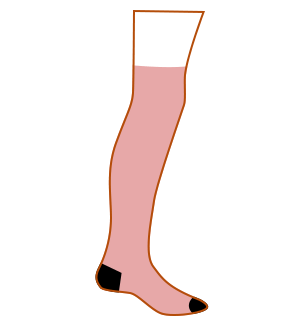 Knee High Socks 