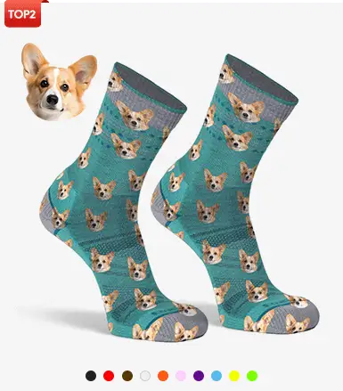 Custom Dog Socks