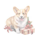  Custom Pets Ornaments