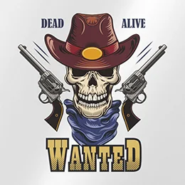 Heat Transfer Patches Heat Transfer Patches