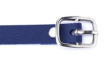 Metalen gesp, veiliger