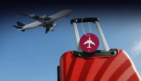 Airlines Luggage Tags in bulk