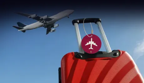 Bagagelabels van luchtvaartmaatschappijen in bulk