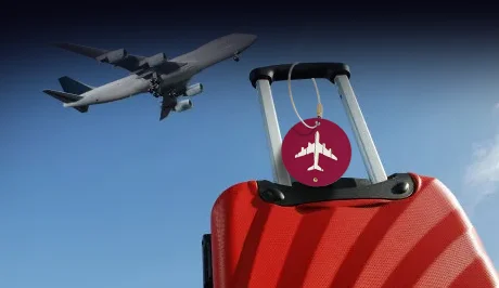 Bagagelabels van luchtvaartmaatschappijen in bulk