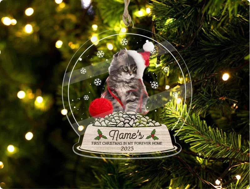 First Christmas Ornaments In My Home