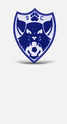 Custom Flock Patches