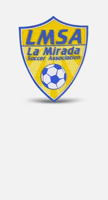 Custom Tatami Fabric Patches