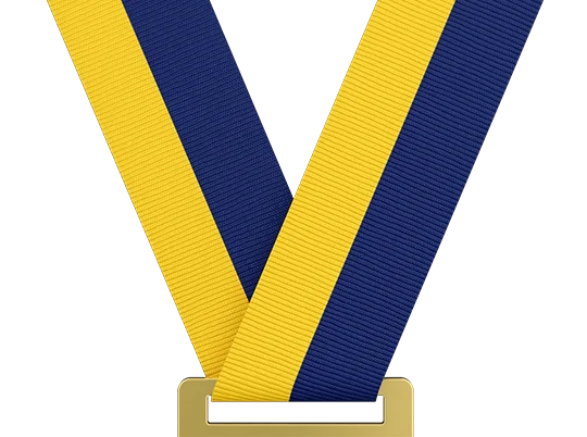 Golden Yellow/Navy Blue (In Stock)