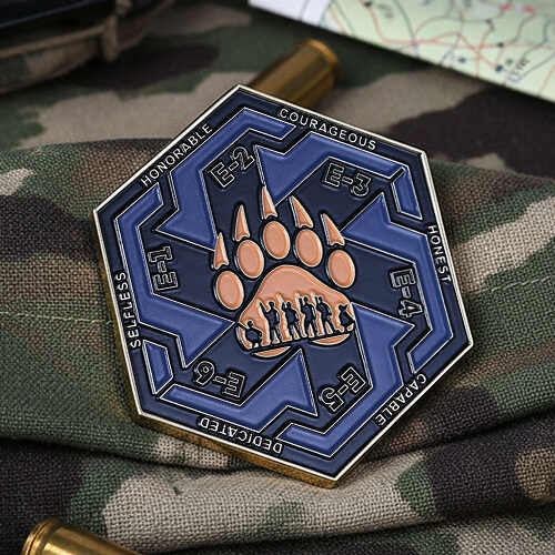 Air Force Enlisted Rank Challenge Coin