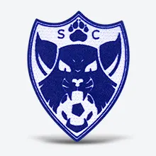 Custom Flock Patches