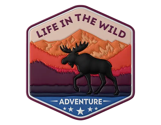 Full Color Flex Patches