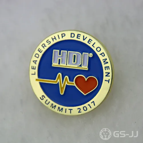 Lapel Pins for HDI Lapel Pins for HDI