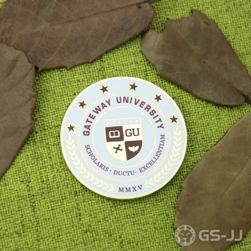 Custom Lapel Pins for University Custom Lapel Pins for University