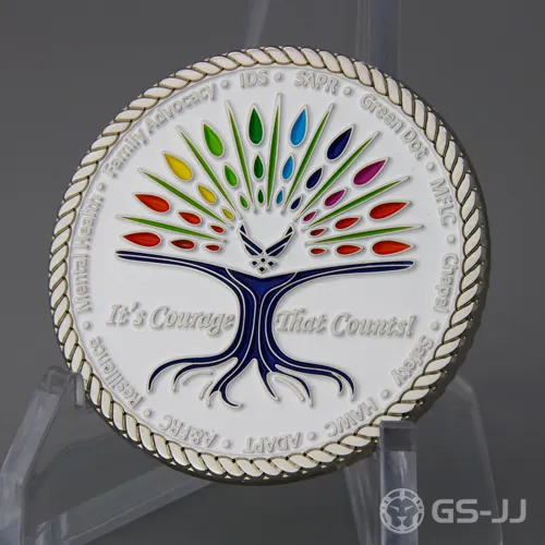 BRAVO ZULU Challenge Coins BRAVO ZULU Challenge Coins