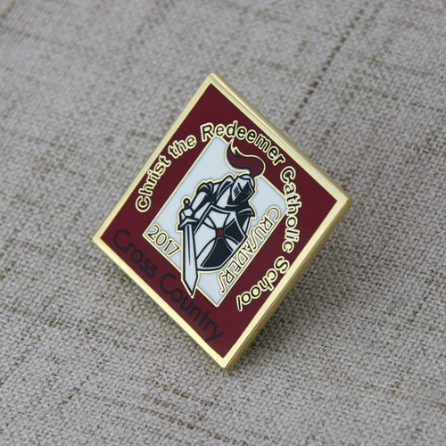The CtRCS lapel pins