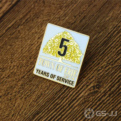 Town of Erie Lapel Pins Town of Erie Lapel Pins