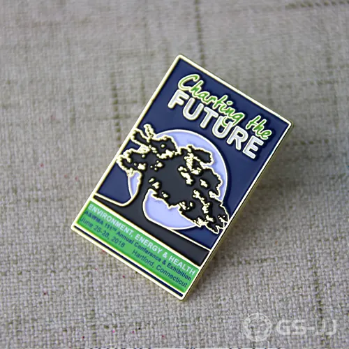 Lapel Pins for Charting the Future Lapel Pins for Charting the Future