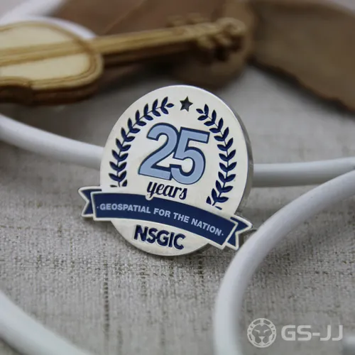 Custom Lapel Pins for NSGIC Custom Lapel Pins for NSGIC