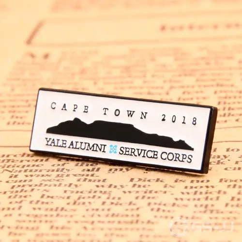 Service corps custom pins Service corps custom pins