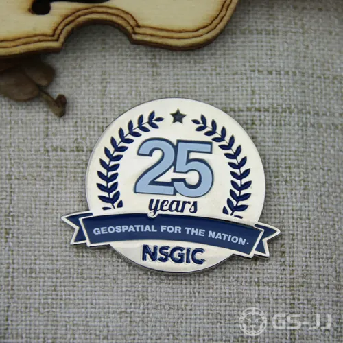 Custom Lapel Pins for NSGIC Custom Lapel Pins for NSGIC