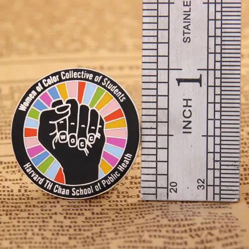 Harvard TH Chan school of public heath lapel pins 