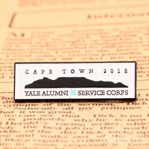 Service corps custom pins Service corps custom pins