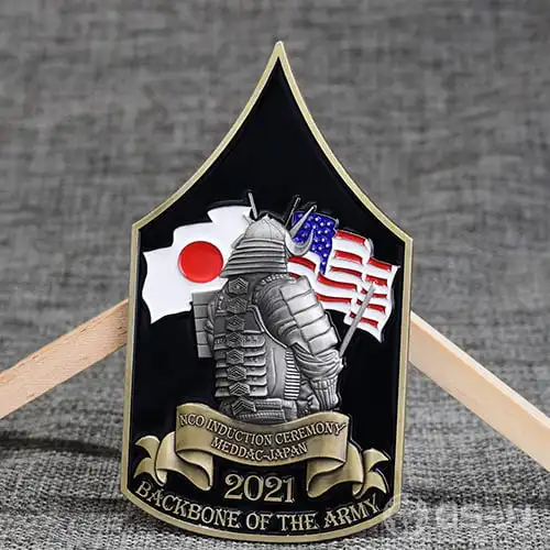 Backbone Army Challenge Coins Backbone Army Challenge Coins
