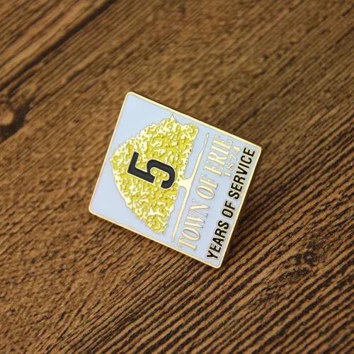 Town of Erie Lapel Pins Town of Erie Lapel Pins