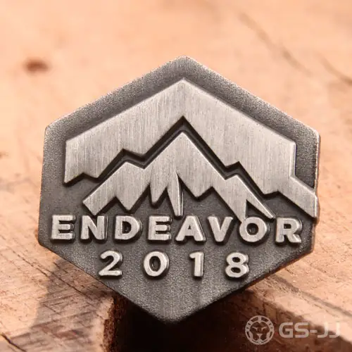 Endeavor Lapel Pins Endeavor Lapel Pins
