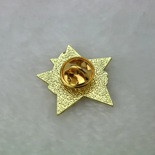 Future Leader Lapel Pins