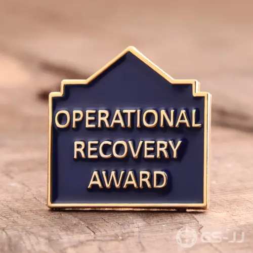 Award custom pins Award custom pins