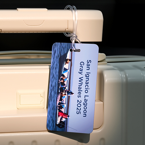 San lgnacio Lagoon Gray Whales 2025 Custom Bag Tag