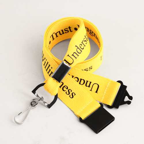 Understanding Trust Willingness Lanyards