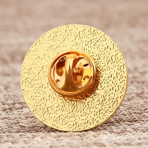 Physical Therapist Assistant Pin Physical Therapist Assistant Pin