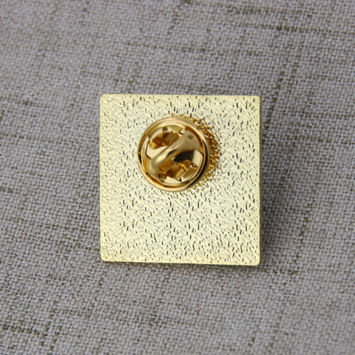 The CtRCS lapel pins