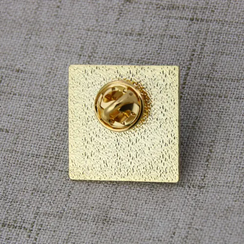The CtRCS lapel pins
