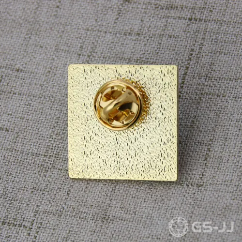 The CtRCS lapel pins The CtRCS lapel pins