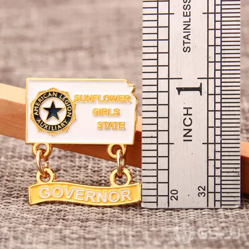 Governor Lapel Pins Governor Lapel Pins