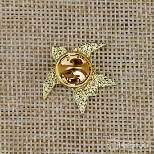 Tortoise Lapel Pins Tortoise Lapel Pins