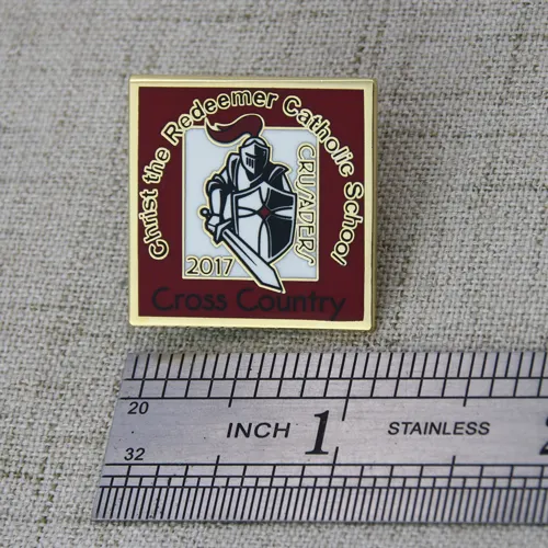 The CtRCS lapel pins