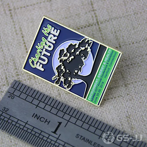 Lapel Pins for Charting the Future Lapel Pins for Charting the Future